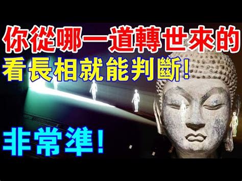 男修羅轉世特徵|阿修羅 (佛教)